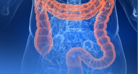coloproctologia