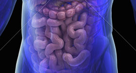 herniopatias